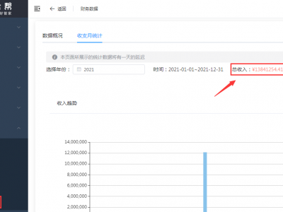 收支月统计增加年总收入和总支出统计